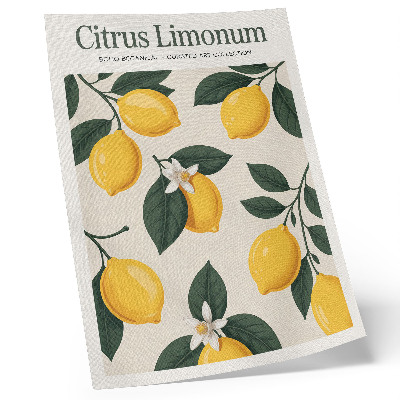Poster Saftiga citroner gröna blad grädde bakgrund
