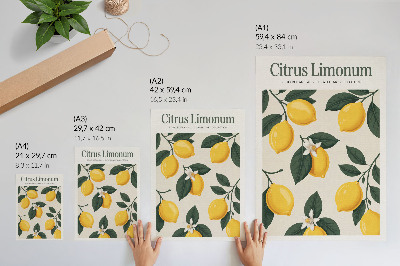 Poster Saftiga citroner gröna blad grädde bakgrund