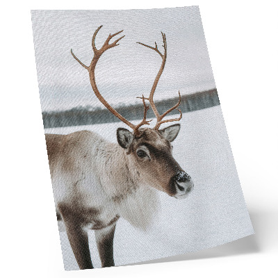 Poster Renar i ett vinterlandskap med beige päls