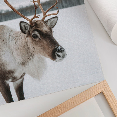 Poster Renar i ett vinterlandskap med beige päls