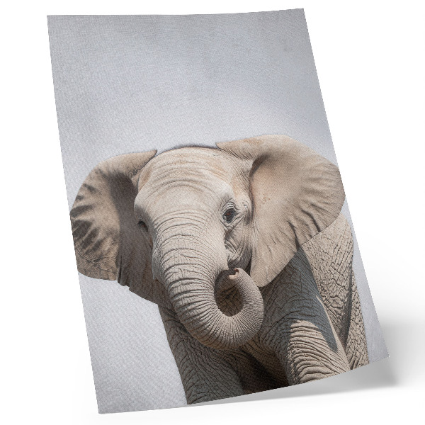 Affisch En ung elefant mot en ljus bakgrund