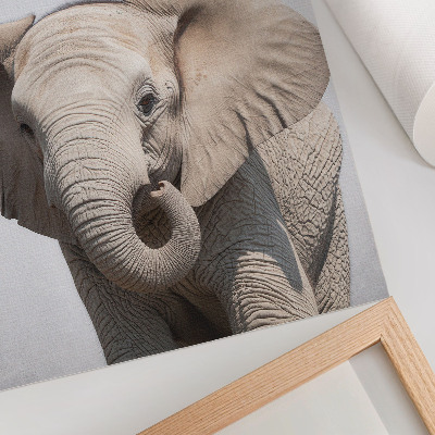 Affisch En ung elefant mot en ljus bakgrund