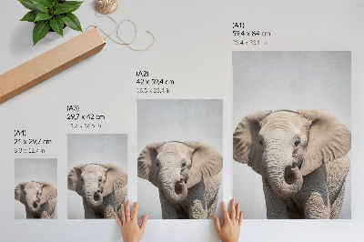 Affisch En ung elefant mot en ljus bakgrund