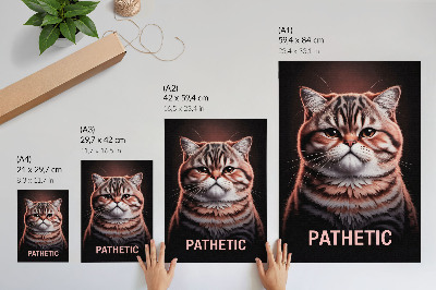 Poster Porträtt av en katt med distinkt päls och djup blick