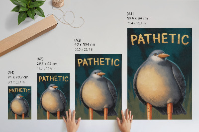 Hållbar väggposter Rolig fågel ovanliga färger turkos bakgrund