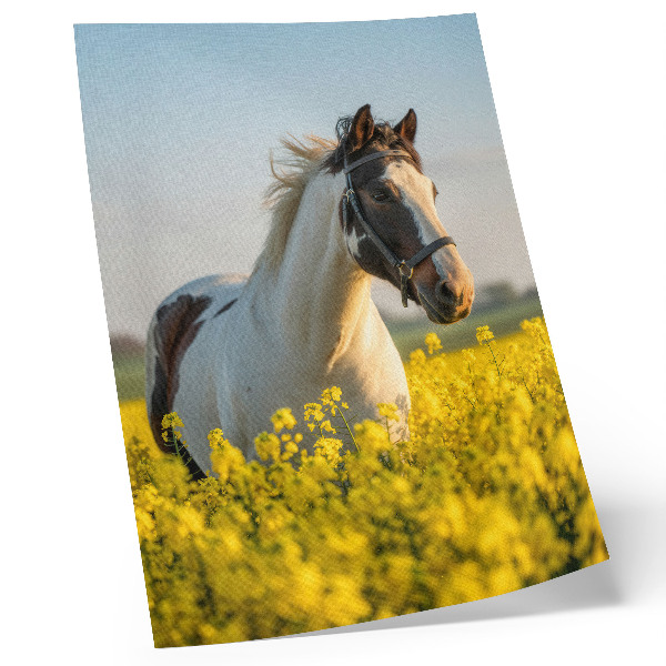 Hållbar väggposter En elegant häst i ett vårfält fullt av blommor