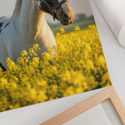 Hållbar väggposter En elegant häst i ett vårfält fullt av blommor