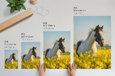 Hållbar väggposter En elegant häst i ett vårfält fullt av blommor