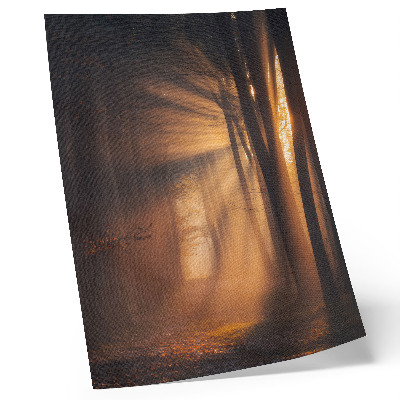 Poster Magiskt ljus skog träd solstrålar fred