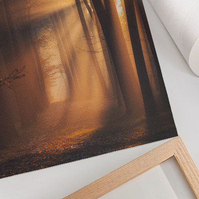 Poster Magiskt ljus skog träd solstrålar fred