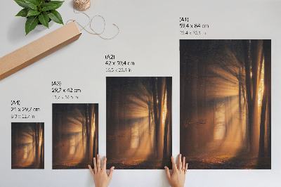 Poster Magiskt ljus skog träd solstrålar fred