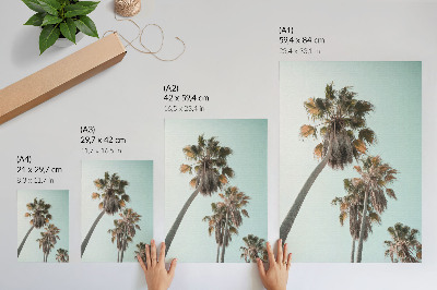 Poster Palmer delikat blå himmel exotisk