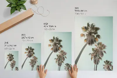 Poster Palmer med delikat blå himmel i exotisk stil