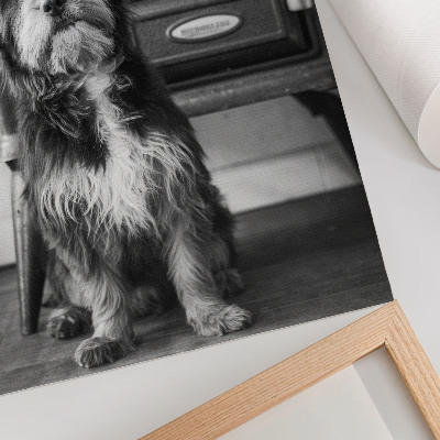 Affisch En lugn svartvit hund vid en gammal spis