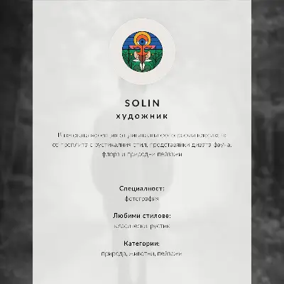 Poster ljus isländsk häst med brun päls