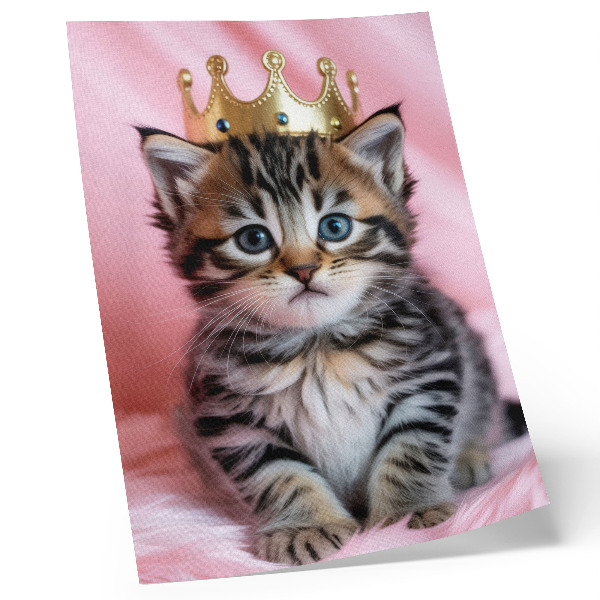 Poster Kattungekrona rosa blå ögon dekoration