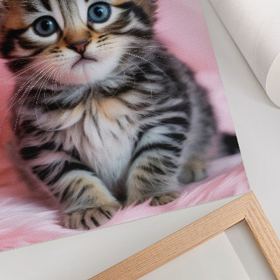 Poster Kattungekrona rosa blå ögon dekoration