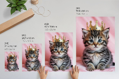 Poster Kattungekrona rosa blå ögon dekoration
