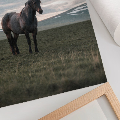 Hållbar väggposter Häst på ängen, moln, morgon, naturens harmoni