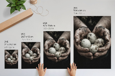 Poster Jordnära händer och vaktelägg fulla av kontrast