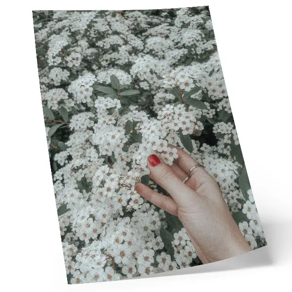 Affisch vita blommor med gröna händer och röda naglar