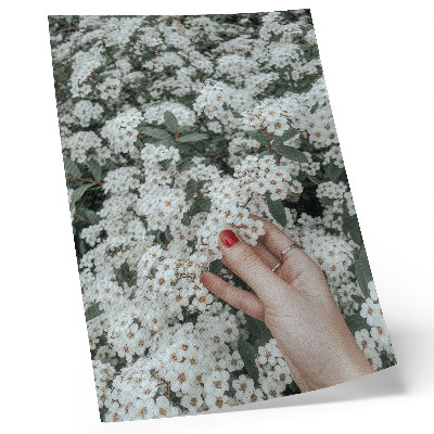 Affisch Vita blommor gröna händer röda naglar