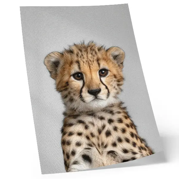 Affisch med minimalistisk gepard på delikat bakgrund
