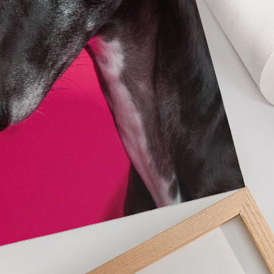 Dekorativ väggaffisch En svartvit hund mot en intensivt rosa bakgrund