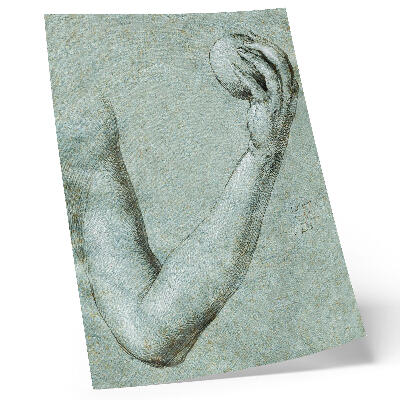 Dekorativ väggaffisch Evas arm (1507) av Albrecht Dürer