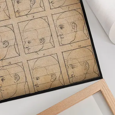 Poster Tolv mänskliga profiler i kontur av Albert Dürer, ca 1794