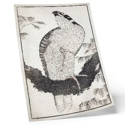 Katsushika Hokusai fågel från skissalbumet dekorativ väggaffisch med japanskt träblockstryck från 1814