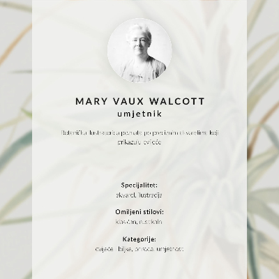 Poster Vildananas (Tillandsia fasciculata) (1921) av Mary Vaux Walcott