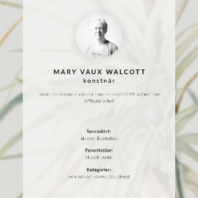 Poster Vildananas (Tillandsia fasciculata) (1921) av Mary Vaux Walcott