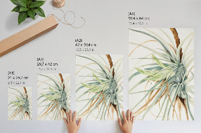 Poster Vildananas (Tillandsia fasciculata) (1921) av Mary Vaux Walcott