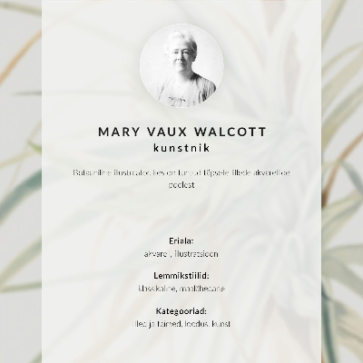 Poster Vildananas (Tillandsia fasciculata) (1921) av Mary Vaux Walcott