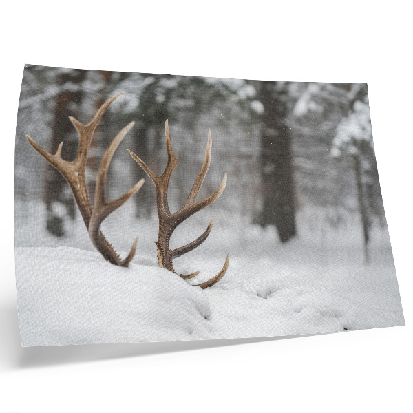 Stilren väggposter Horn i snön vinterskog naturlig fred