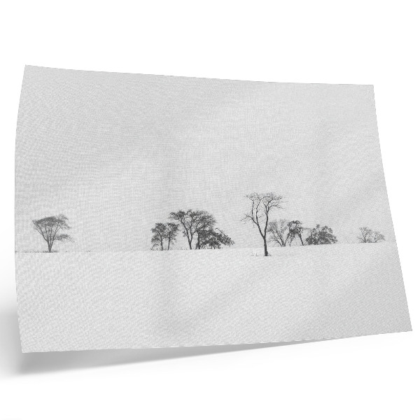 Poster till sovrum Minimalistisk landskap vinterträd fred