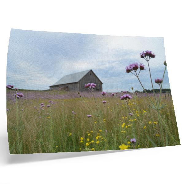 Stilren väggposter Landsbygdslada lila och gula blommor äng