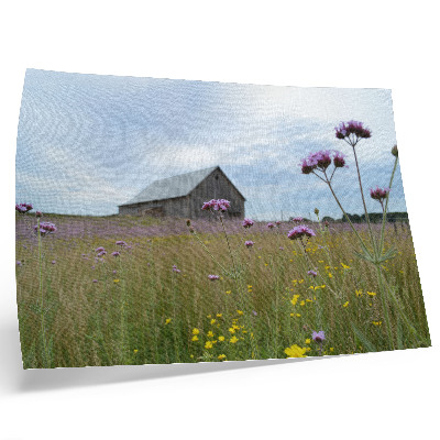 Stilren väggposter Landsbygdslada lila och gula blommor äng