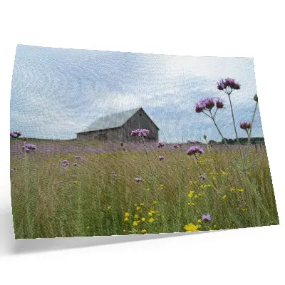 Väggposter i stilren design landsbygdslada omgiven av en äng med lila och gula blommor