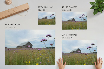 Stilren väggposter Landsbygdslada lila och gula blommor äng