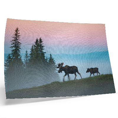 Poster Älg på morgonen mot bakgrund av dimma och träd