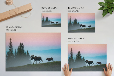 Poster Älg på morgonen mot bakgrund av dimma och träd