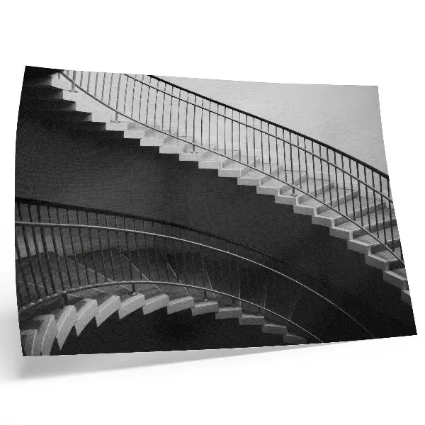 Poster svartvit elegans i moderna former