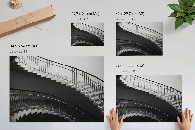 Poster Svartvit elegans, moderna former