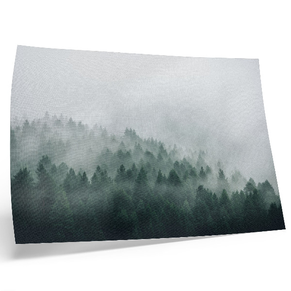 Poster till sovrum Dimmiga skogar utstrålar frid och mystik