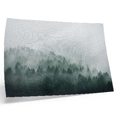 Poster till sovrum dimmiga skogar som utstrålar frid och mystik