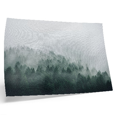 Poster till sovrum Dimmiga skogar utstrålar frid och mystik