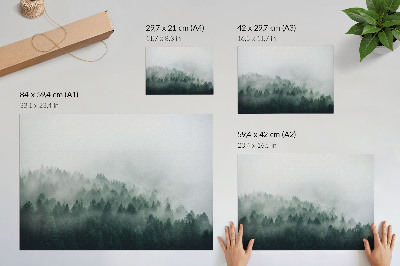 Poster till sovrum Dimmiga skogar utstrålar frid och mystik
