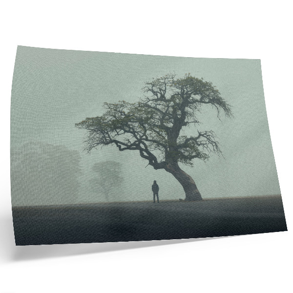Väggposter Ensamt träd dimma mörk silhuett atmosfär